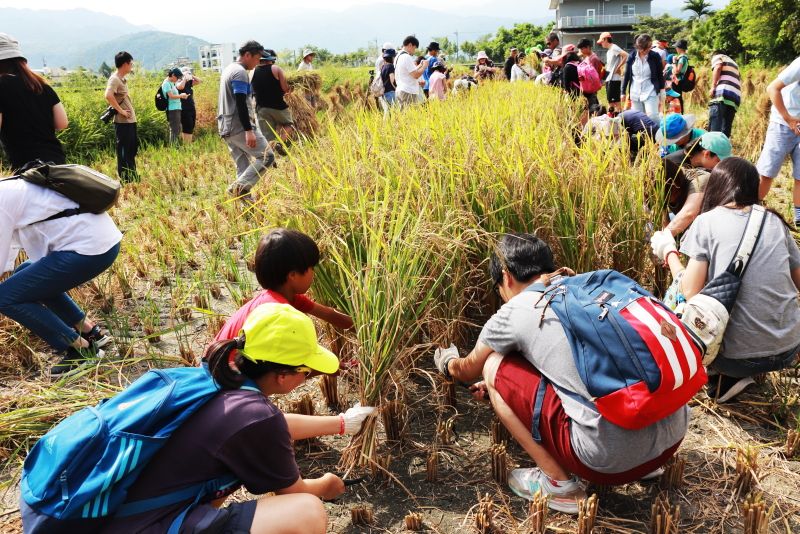 A Taiwanese farm village experiment to reconnect people with the land